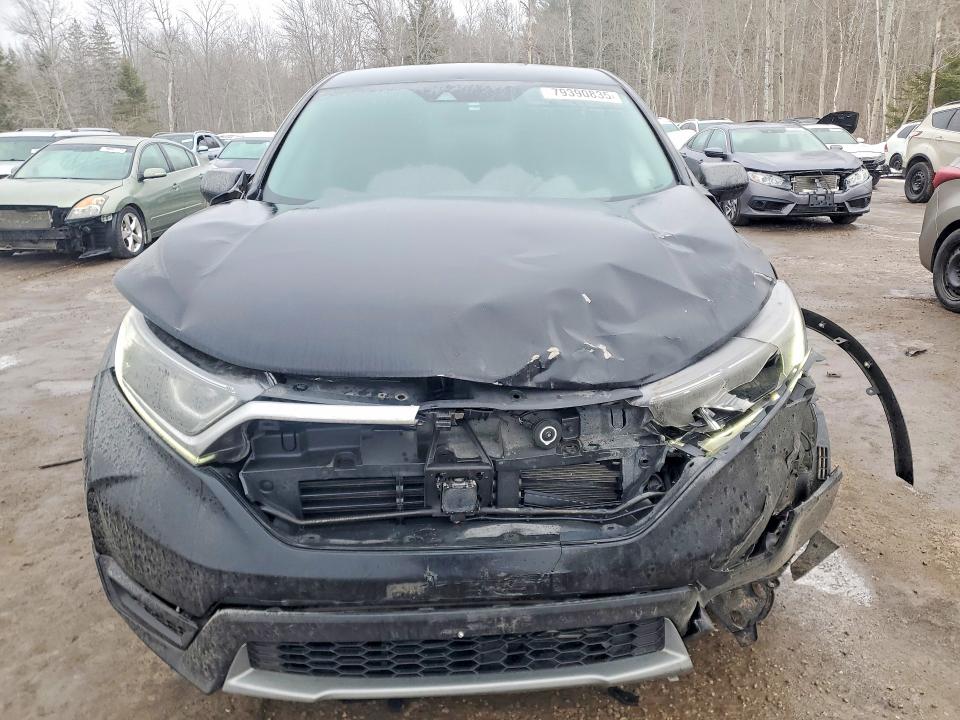 79390835 :رقم المزاد ، 2HKRW2H2XKH116206 vin ، 2019 Honda Cr-v مزاد بيع