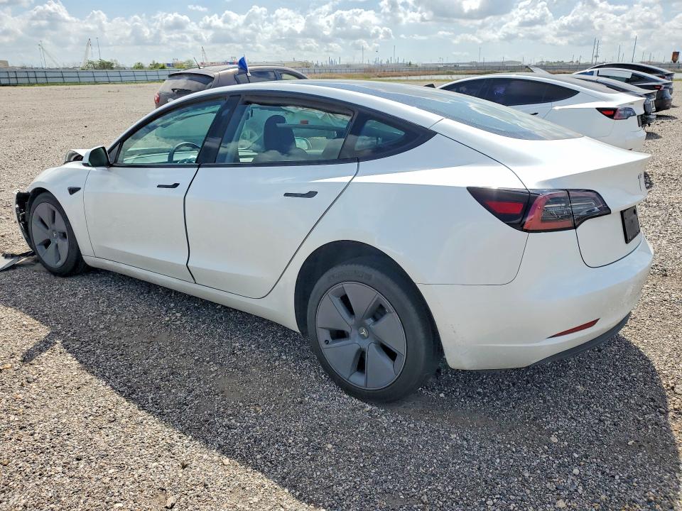 Продаж на аукціоні авто 2023 Tesla Model 3, vin: 5YJ3E1EA7PF553519, номер лоту: 79754045