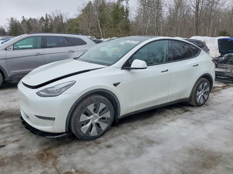 79912135 :رقم المزاد ، 7SAYGDEE9PF597013 vin ، 2023 Tesla Model Y مزاد بيع
