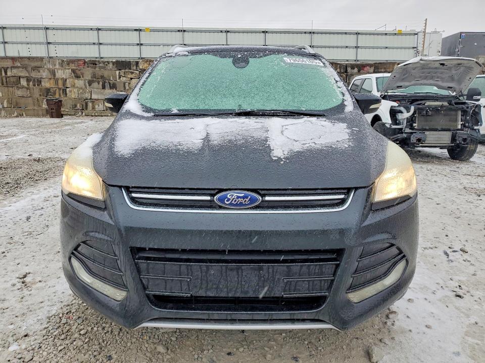 Продаж на аукціоні авто 2014 Ford Escape, vin: 1FMCU0JX4EUB33949, номер лоту: 79656105
