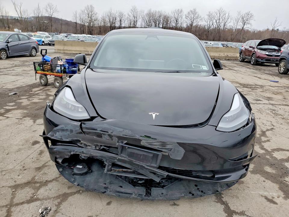 Продаж на аукціоні авто 2023 Tesla Model 3, vin: 5YJ3E1EAXPF655817, номер лоту: 46113786