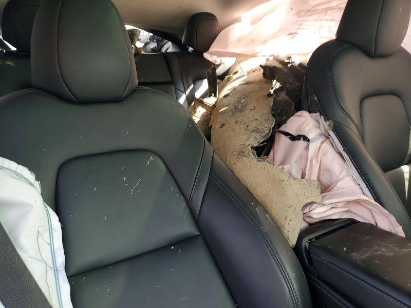 Aukcja sprzedaży 2023 Tesla Model Y, vin: 7SAYGDEEXPF862389, numer aukcji: 45469846