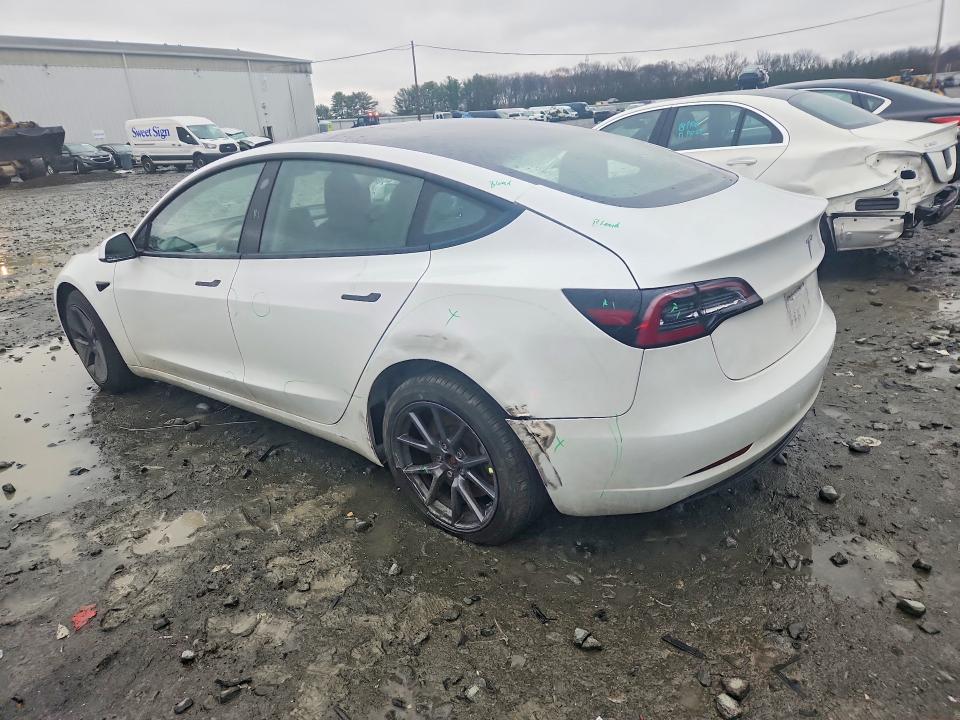 2023 Tesla Model 3 მანქანა იყიდება აუქციონზე, vin: 5YJ3E1EA8PF542061, აუქციონის ნომერი: 45826076