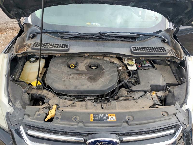 Продаж на аукціоні авто 2013 Ford Escape, vin: 1FMCU0H99DUA25381, номер лоту: 79989415