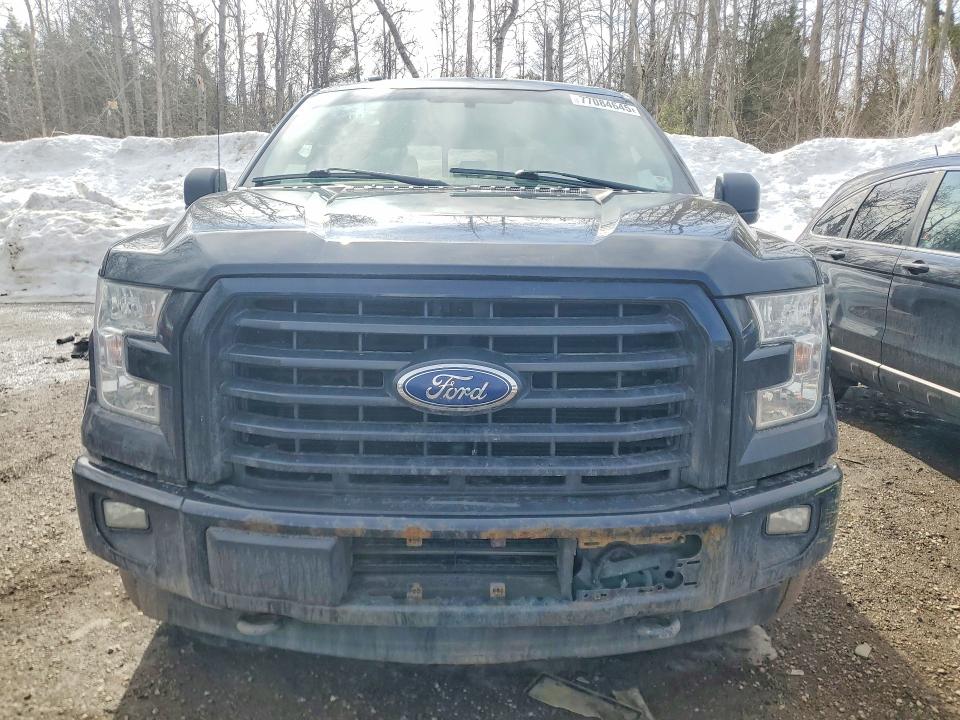 Продажа на аукционе авто 2017 Ford F150, vin: 1FTEW1EP6HFC10210, номер лота: 77084645