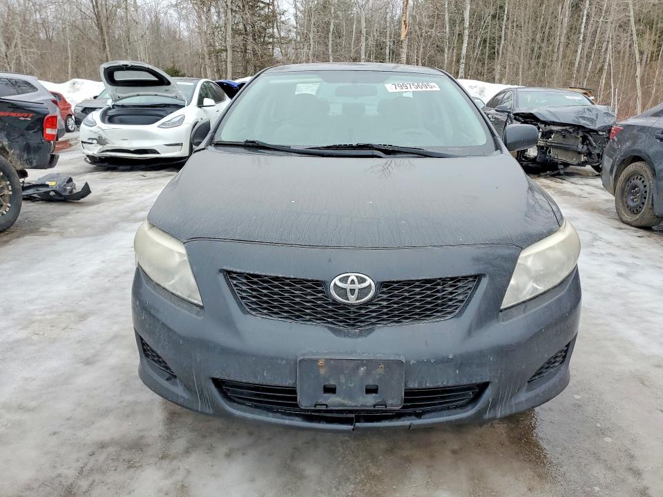 79975695 :رقم المزاد ، 2T1BU4EE1AC433889 vin ، 2010 Toyota Corolla مزاد بيع