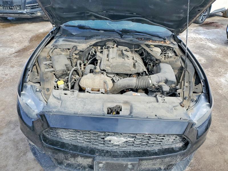 Продаж на аукціоні авто 2017 Ford Mustang, vin: 1FA6P8THXH5303510, номер лоту: 79711465