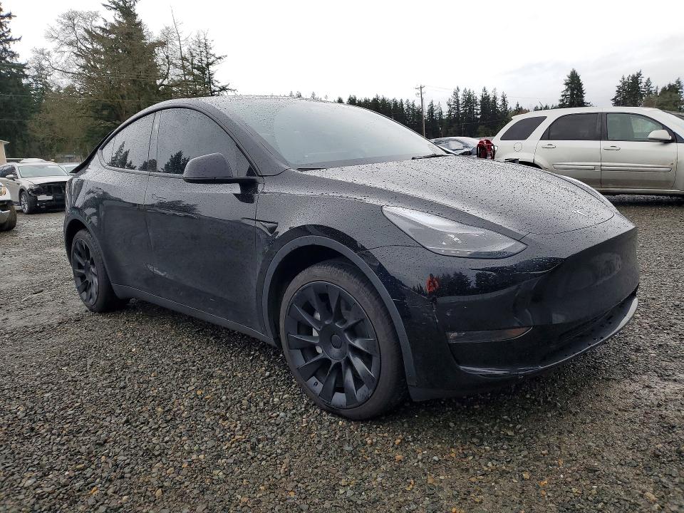 Aukcja sprzedaży 2024 Tesla Model Y, vin: 7SAYGDEE3RF075884, numer aukcji: 41976716