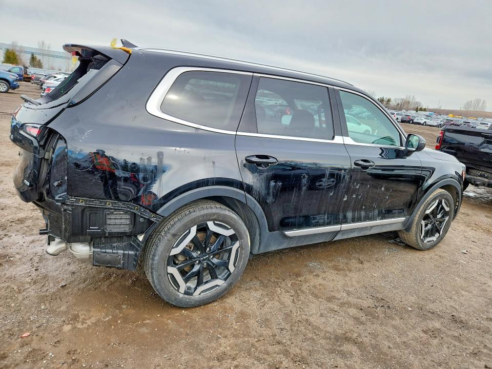 2024 Kia Telluride მანქანა იყიდება აუქციონზე, vin: 5XYP3DGC3RG516955, აუქციონის ნომერი: 78906195