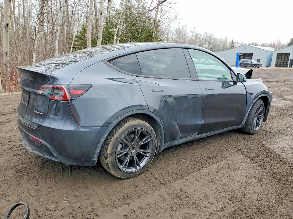 Продаж на аукціоні авто 2024 Tesla Model Y, vin: 7SAYGDEE3RF203640, номер лоту: 46069456