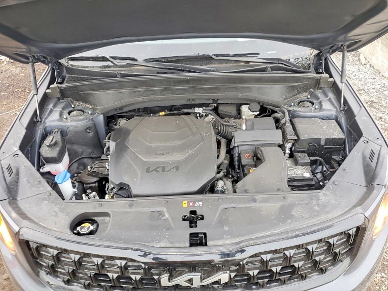 Aukcja sprzedaży 2024 Kia Telluride, vin: 5XYP5DGC8RG500034, numer aukcji: 46425226