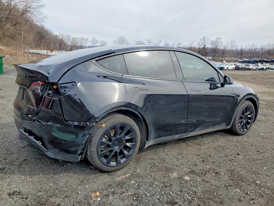 Aukcja sprzedaży 2025 Tesla Model Y, vin: 7SAYGAEE5SF243027, numer aukcji: 45631686