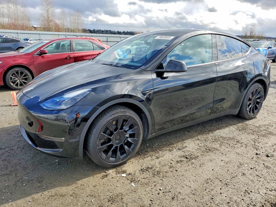 Продаж на аукціоні авто 2024 Tesla Model Y, vin: 7SAYGAEE1RF983832, номер лоту: 79808665