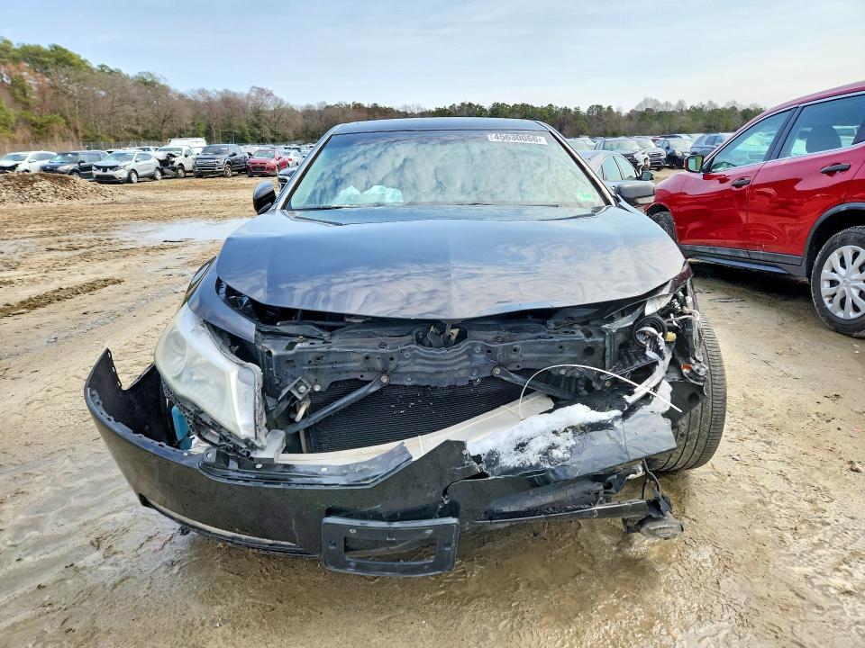 Продаж на аукціоні авто 2009 Acura Tl, vin: 19UUA86559A020589, номер лоту: 45630066