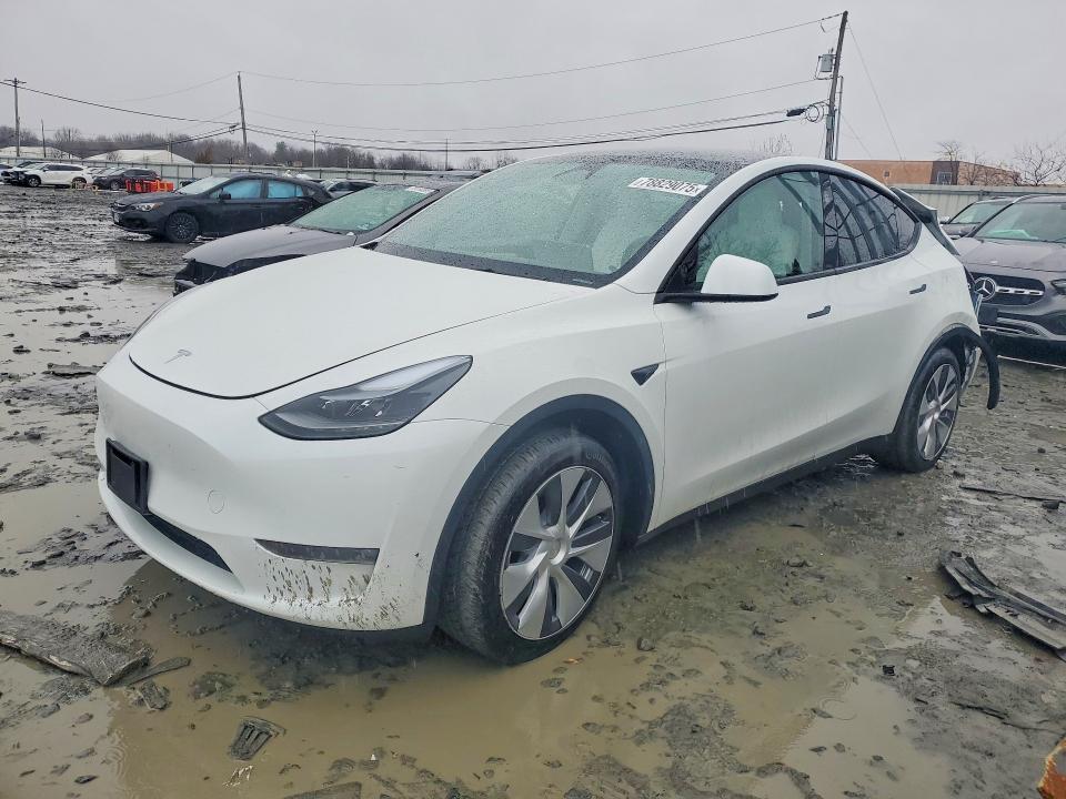 Aukcja sprzedaży 2024 Tesla Model Y, vin: 7SAYGAEE3RF064236, numer aukcji: 78829075