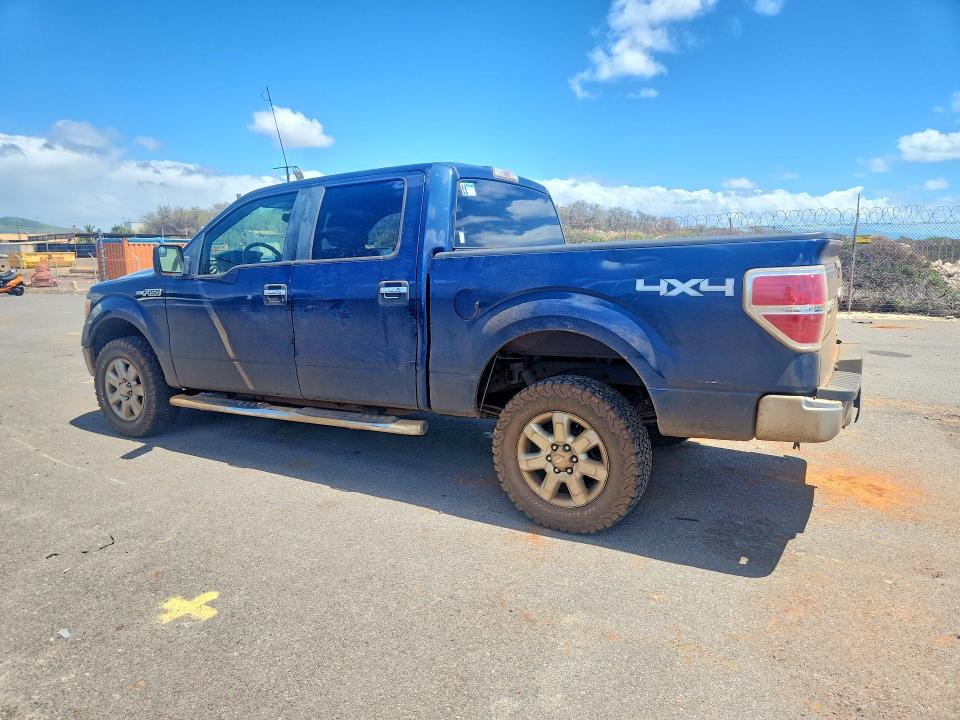 48175316 :رقم المزاد ، 1FTFW1EF7DKD24861 vin ، 2013 Ford F150 مزاد بيع