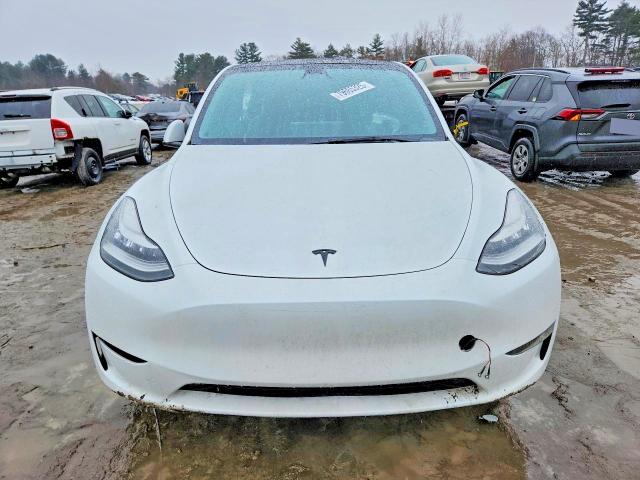 Продажа на аукционе авто 2023 Tesla Model Y, vin: 7SAYGDEE0PA024711, номер лота: 79665325