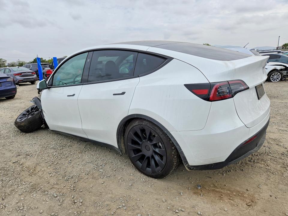 48278816 :رقم المزاد ، 7SAYGAEE1RF049279 vin ، 2024 Tesla Model Y مزاد بيع