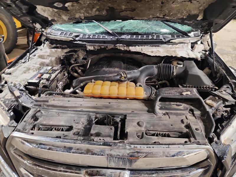 Продажа на аукционе авто 2016 Ford F150, vin: 1FTEW1EG1GFA26291, номер лота: 41651526