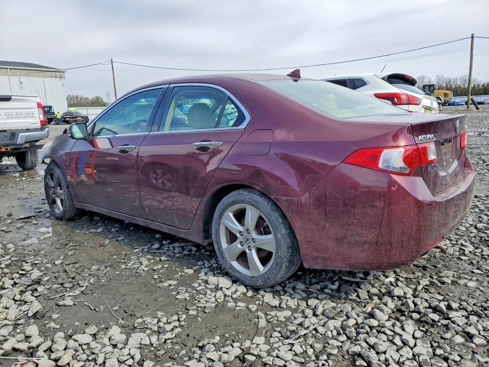 Продаж на аукціоні авто 2009 Acura Tsx, vin: JH4CU26649C021842, номер лоту: 45971656