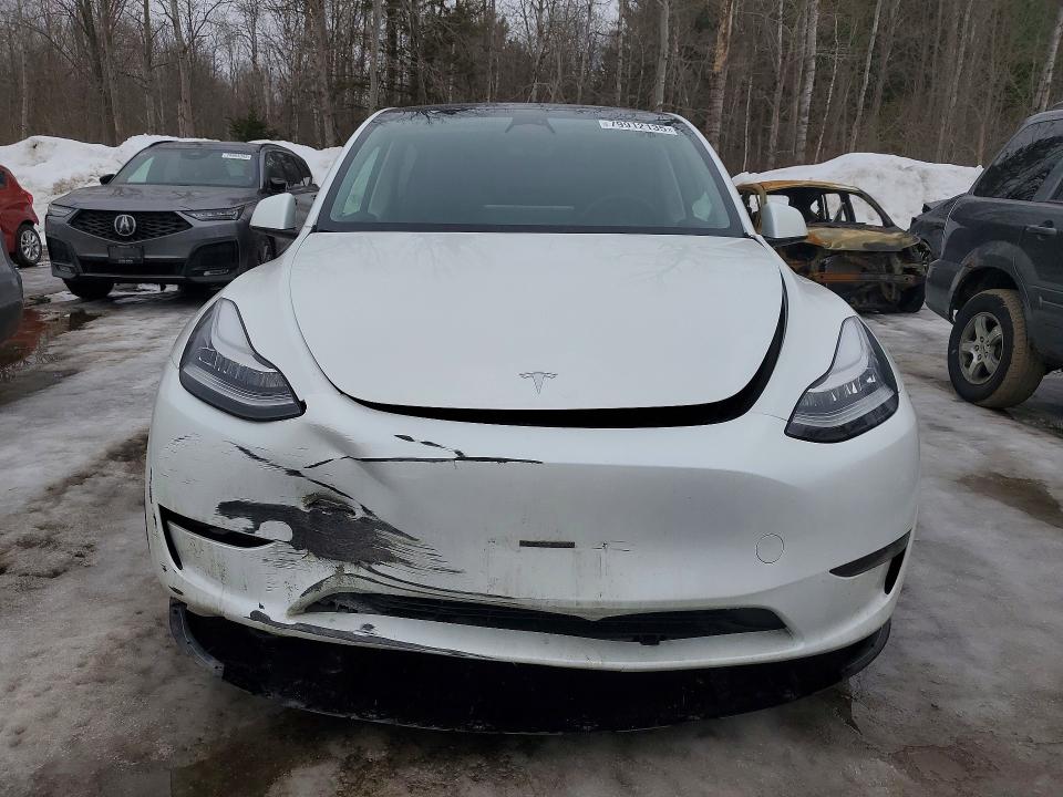 79912135 :رقم المزاد ، 7SAYGDEE9PF597013 vin ، 2023 Tesla Model Y مزاد بيع