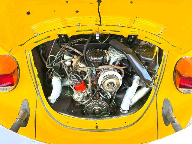 1979 Volkswagen Beetle მანქანა იყიდება აუქციონზე, vin: 1592000623, აუქციონის ნომერი: 45962076
