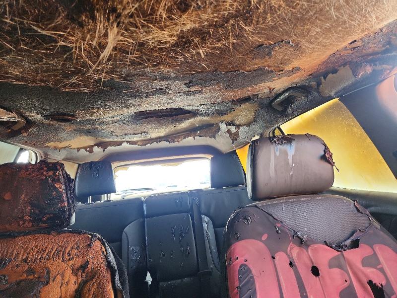 Aukcja sprzedaży 2018 Gmc Acadia, vin: 1GKKNULS1JZ191525, numer aukcji: 79884825