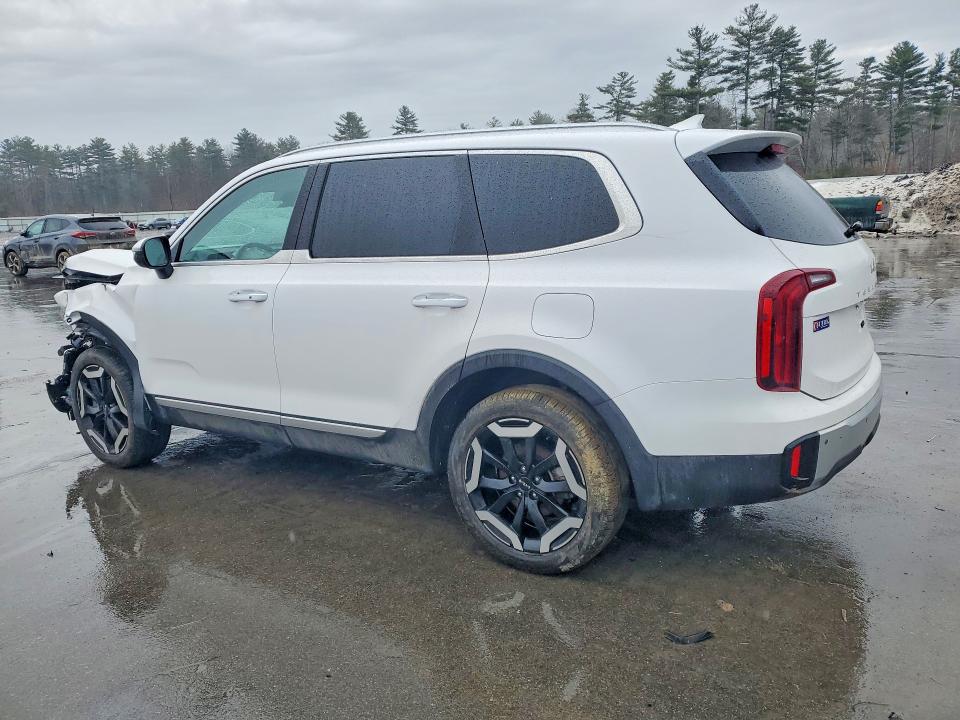 Продажа на аукционе авто 2024 Kia Telluride, vin: 5XYP6DGC7RG544863, номер лота: 45605796