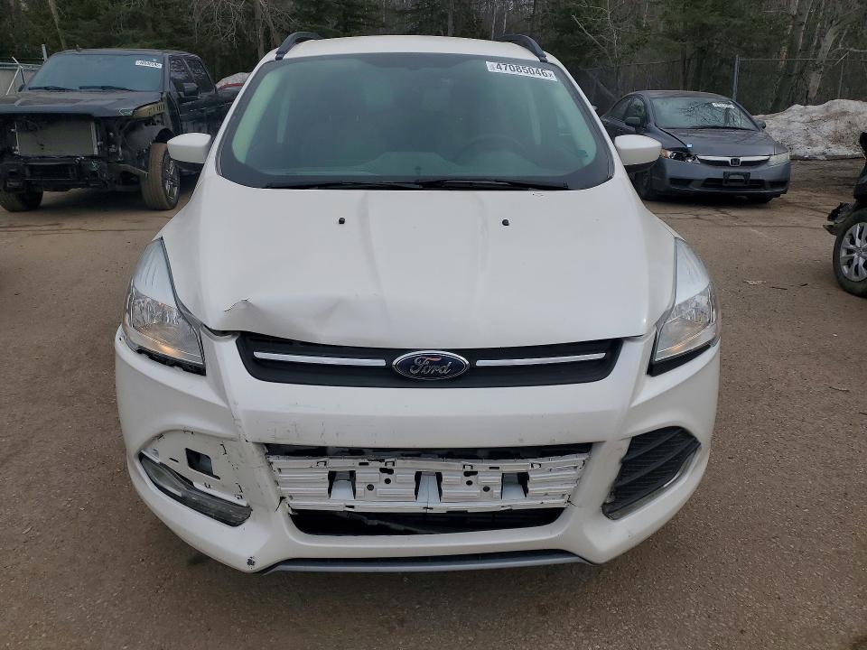 Продаж на аукціоні авто 2014 Ford Escape, vin: 1FMCU0G9XEUD39852, номер лоту: 47085046