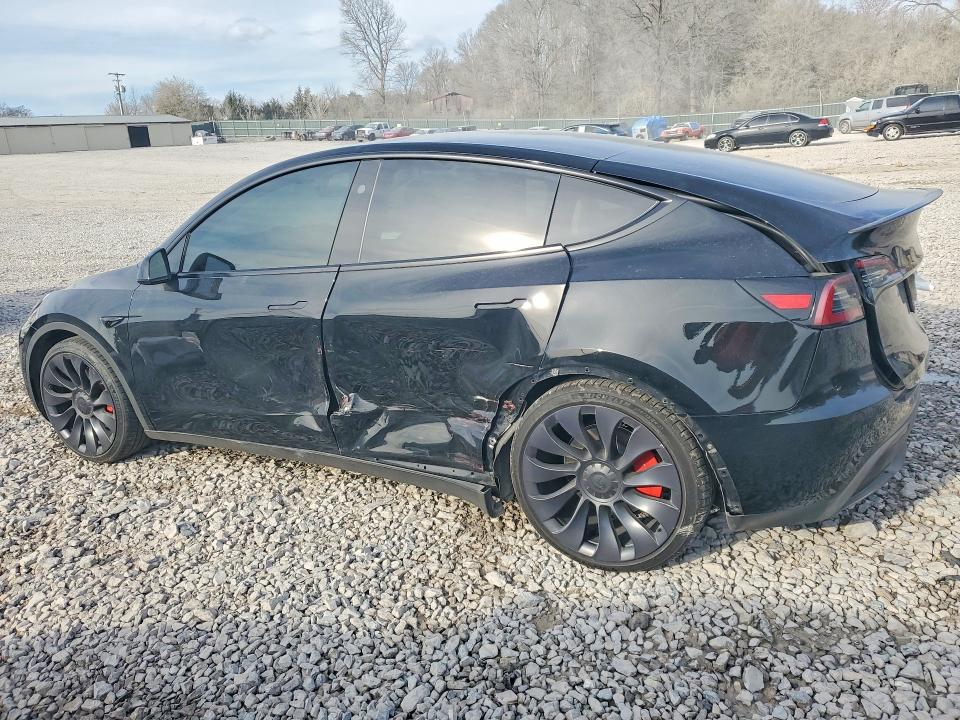 Продажа на аукционе авто 2024 Tesla Model Y, vin: 7SAYGDEF9RF054014, номер лота: 75898175