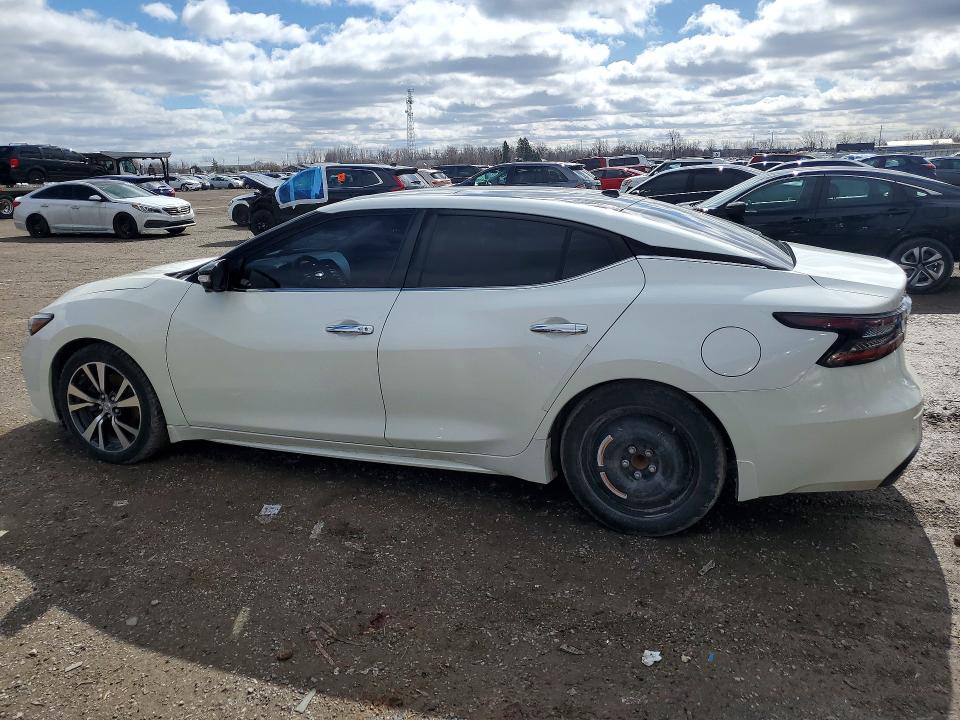 Продаж на аукціоні авто 2021 Nissan Maxima, vin: 1N4AA6FV8MC506550, номер лоту: 79520095