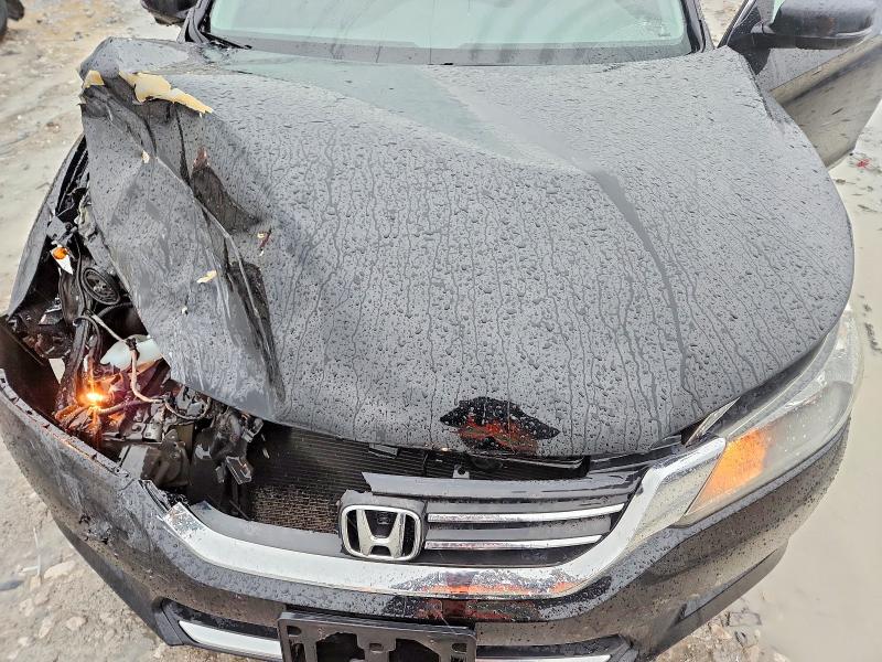 Aukcja sprzedaży 2015 Honda Accord, vin: 1HGCR2F7XFA218499, numer aukcji: 79729405