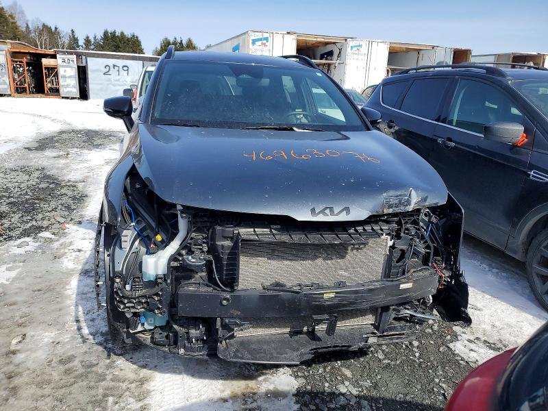 46963076 :رقم المزاد ، KNDPUCDF1T7429954 vin ، 2026 Kia Sportage مزاد بيع