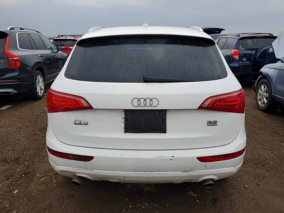 Продаж на аукціоні авто 2010 Audi Q5, vin: WA1CKAFPXAA077188, номер лоту: 48294956
