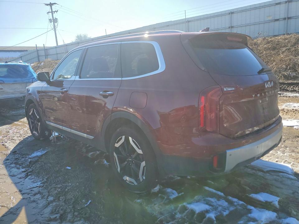 2024 Kia Telluride მანქანა იყიდება აუქციონზე, vin: 5XYP64GC1RG549623, აუქციონის ნომერი: 78991145