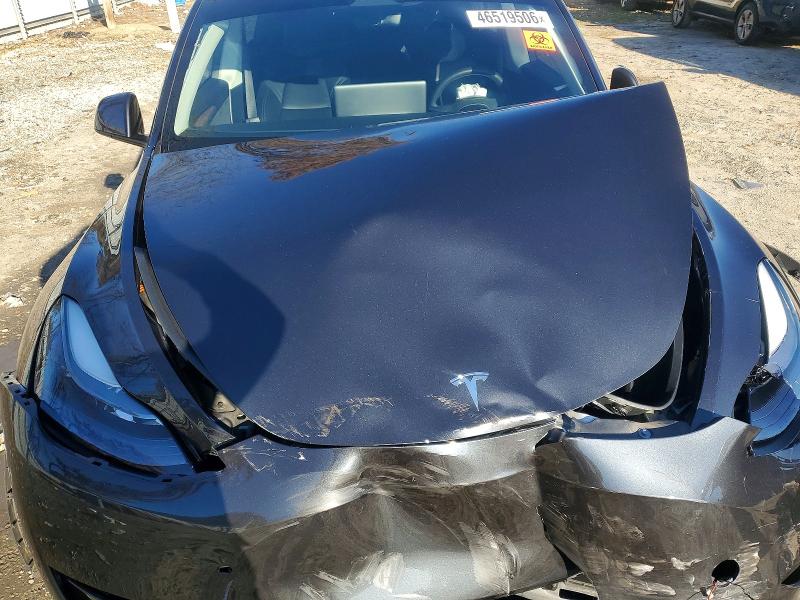 Aukcja sprzedaży 2025 Tesla Model Y, vin: 7SAYGDED7SF241952, numer aukcji: 46519506