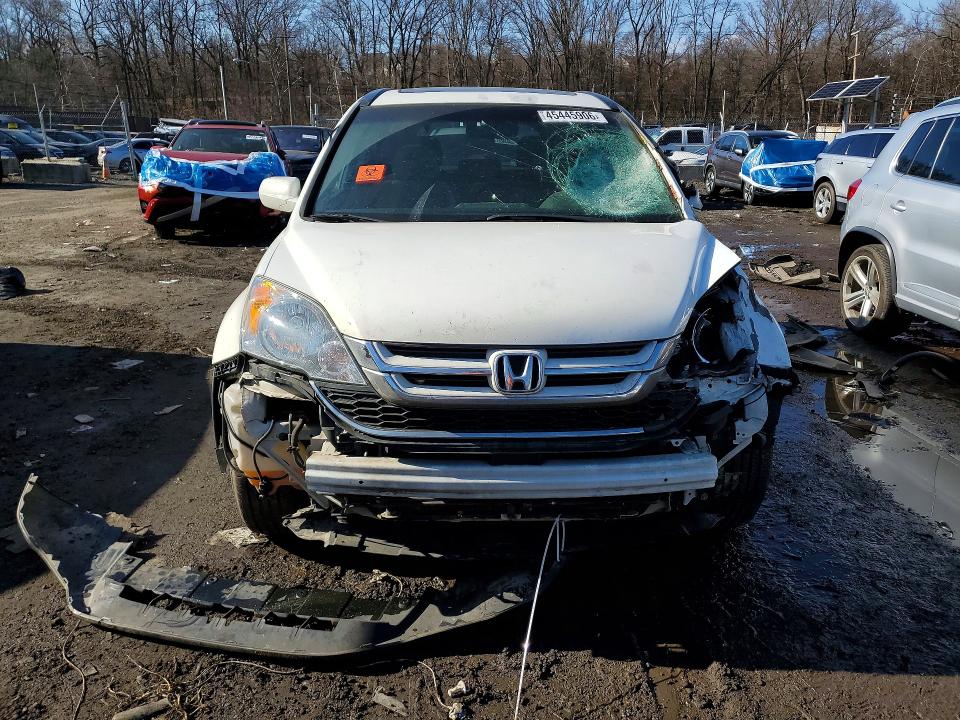 Aukcja sprzedaży 2010 Honda Cr-v, vin: 5J6RE4H70AL024097, numer aukcji: 45445906