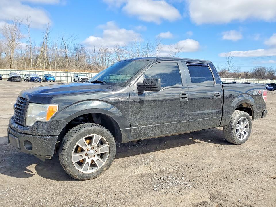 Продажа на аукционе авто 2014 Ford F150, vin: 1FTFW1EF2EFC58942, номер лота: 47681786