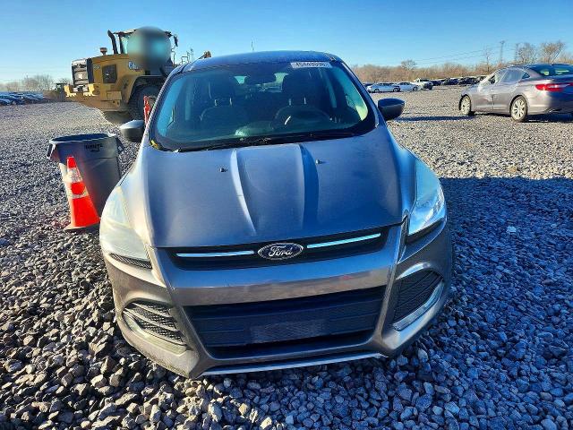 Aukcja sprzedaży 2014 Ford Escape, vin: 1FMCU0G95EUC52943, numer aukcji: 45449596