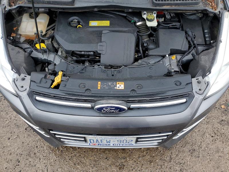 2014 Ford Escape მანქანა იყიდება აუქციონზე, vin: 1FMCU0GX5EUD19779, აუქციონის ნომერი: 79575685
