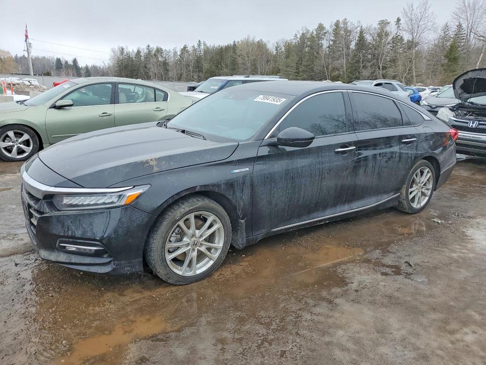 79941935 :رقم المزاد ، 1HGCV3F90LA800058 vin ، 2020 Honda Accord مزاد بيع