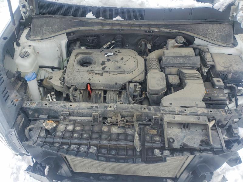 Aukcja sprzedaży 2020 Kia Sorento, vin: 5XYPGDA36LG614639, numer aukcji: 45788066