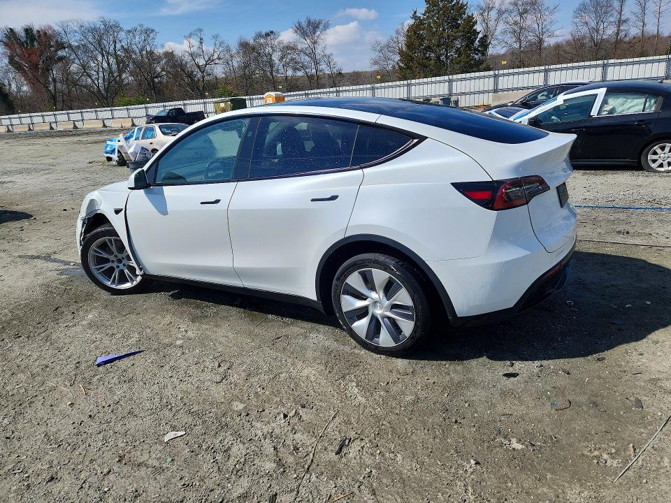 Aukcja sprzedaży 2023 Tesla Model Y, vin: 7SAYGDEE8PA151058, numer aukcji: 41966566