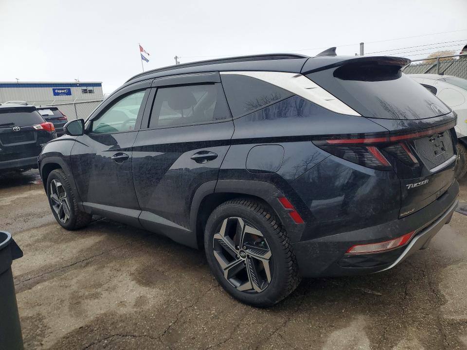 Aukcja sprzedaży 2023 Hyundai Tucson, vin: KM8JDDA24PU105395, numer aukcji: 79409885