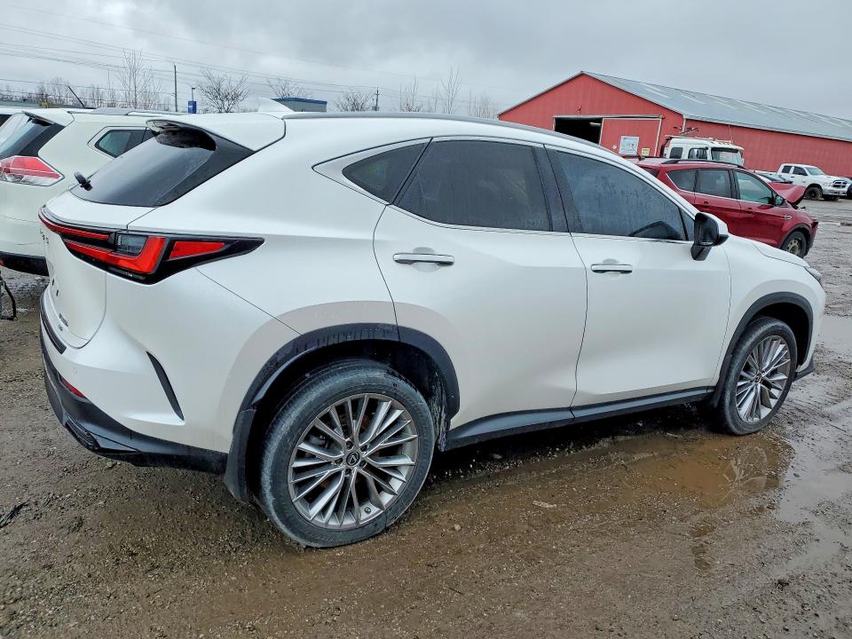 79067545 :رقم المزاد ، 2T2GKCEZ3PC012026 vin ، 2023 Lexus Nx 350h مزاد بيع