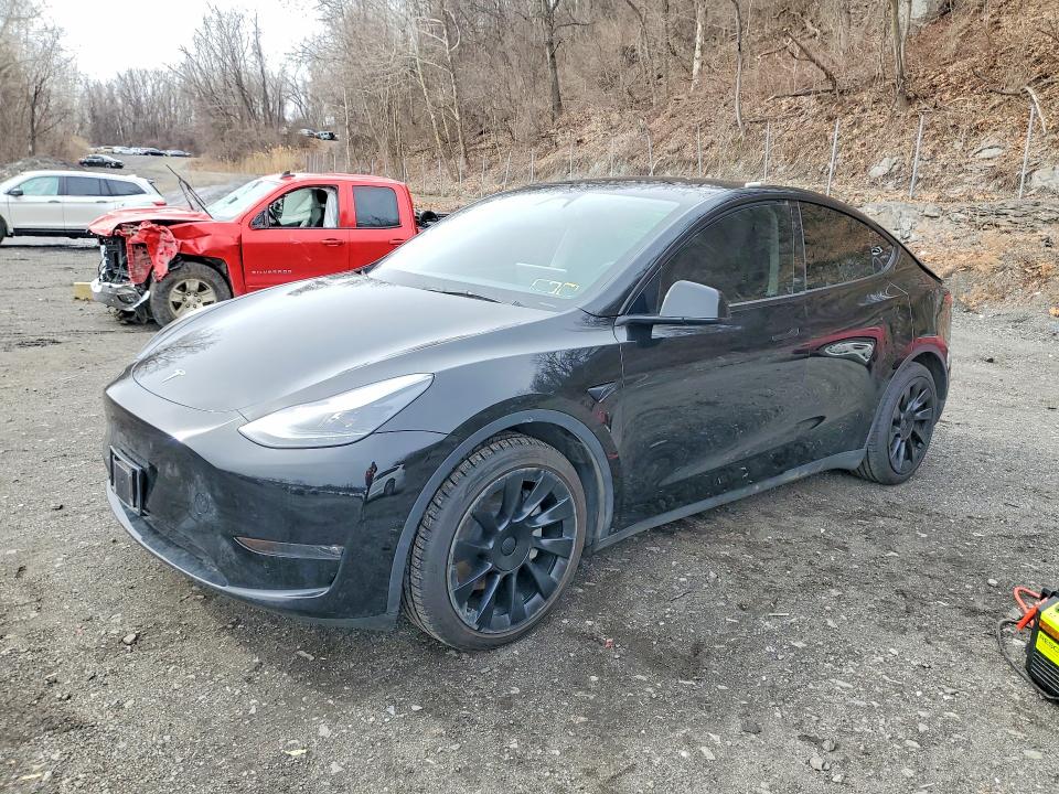 Aukcja sprzedaży 2025 Tesla Model Y, vin: 7SAYGAEE5SF243027, numer aukcji: 45631686