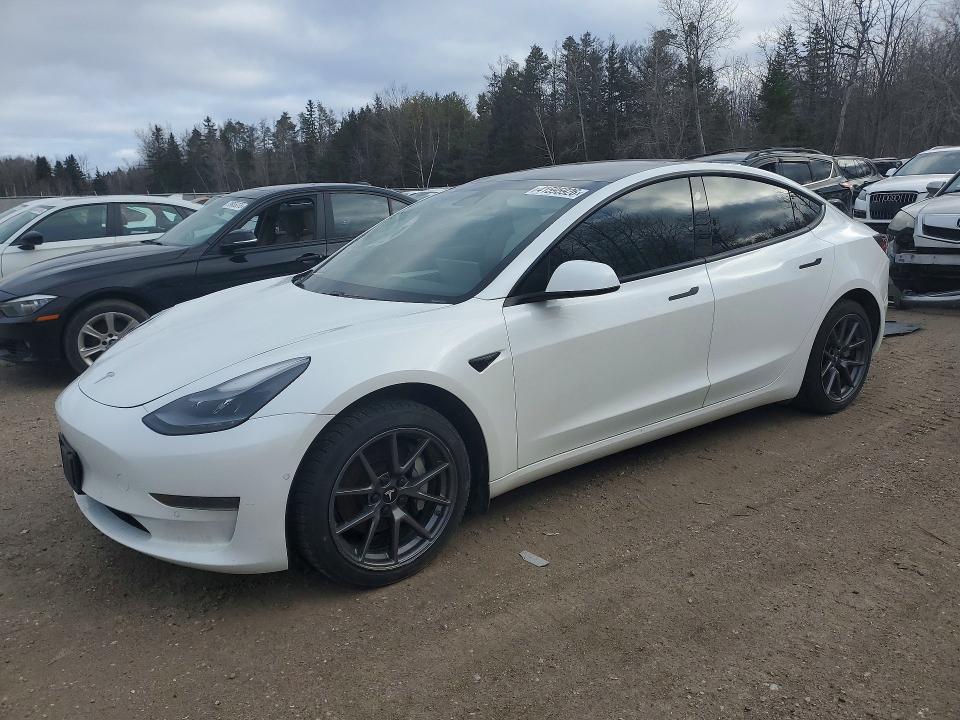41595926 :رقم المزاد ، 5YJ3E1EA3MF031983 vin ، 2021 Tesla Model 3 مزاد بيع