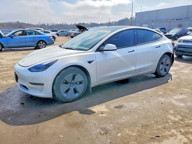 Продаж на аукціоні авто 2023 Tesla Model 3, vin: 5YJ3E1EA4PF487382, номер лоту: 79124715