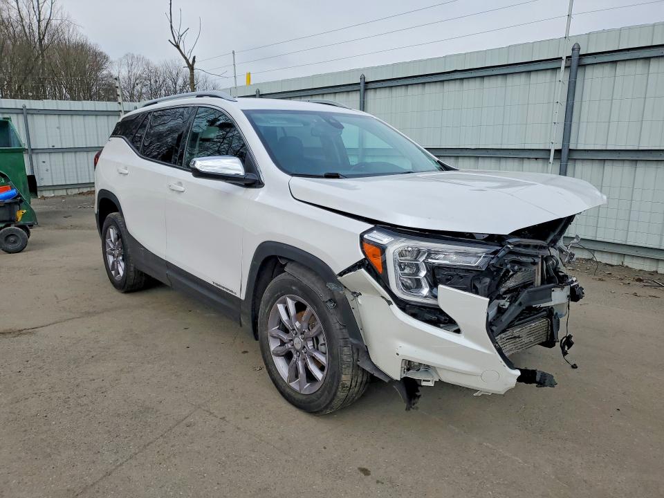 46619796 :رقم المزاد ، 3GKALVEGXRL114106 vin ، 2024 Gmc Terrain مزاد بيع