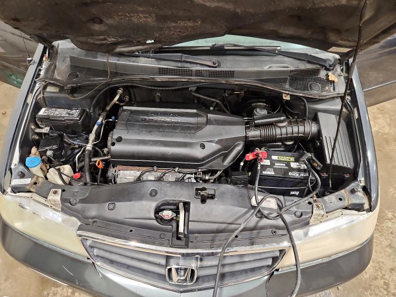 79952555 :رقم المزاد ، 5FNRL18904B020392 vin ، 2004 Honda Odyssey مزاد بيع